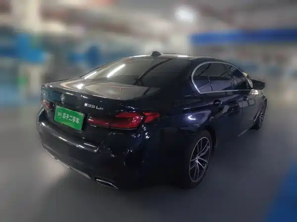 BMW 5 Series New Energy 2021