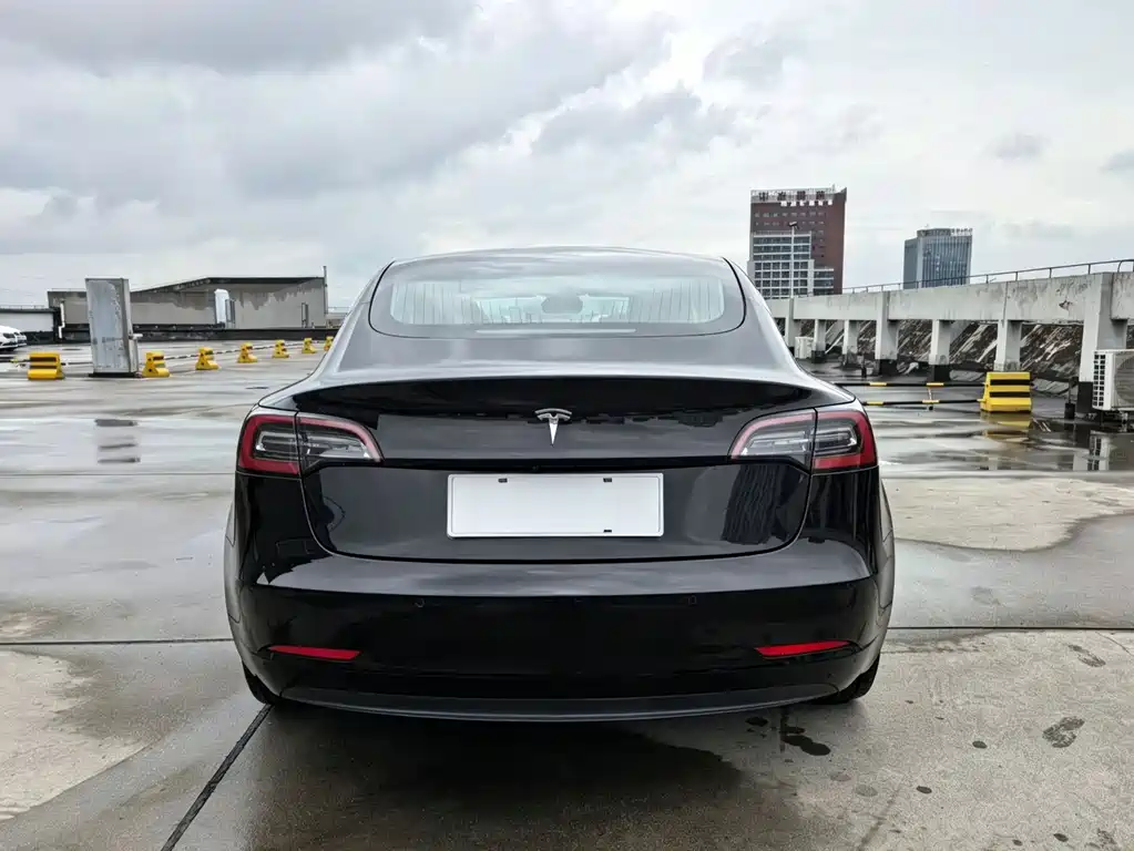 Tesla Model 3 2019 — фото 4