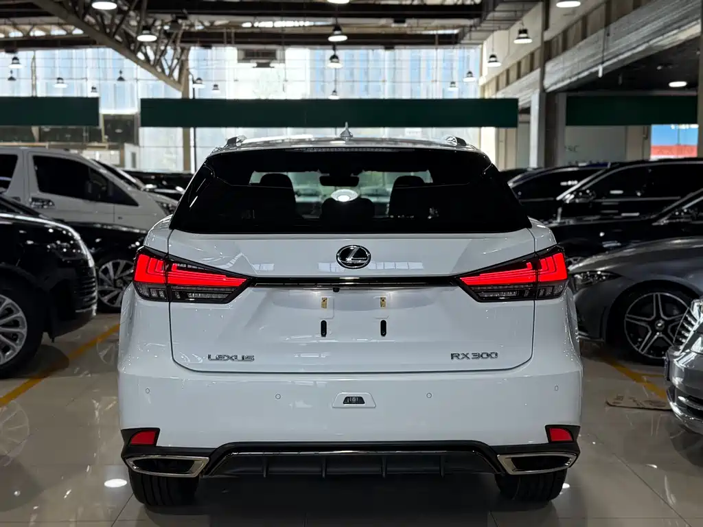 Lexus RX 2020 — фото 19
