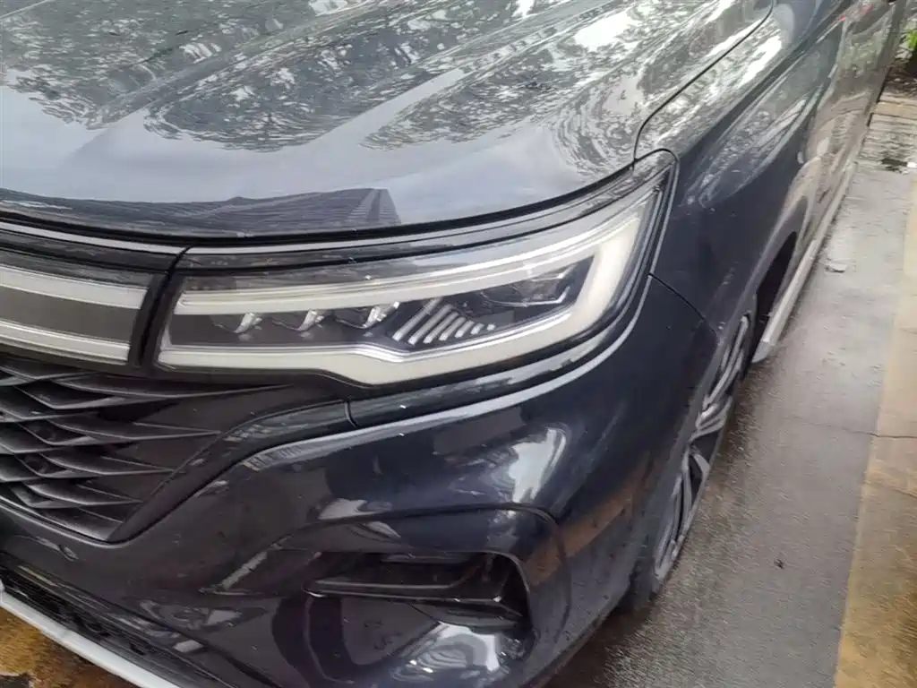 Roewe RX5 MAX 2021 — фото 24