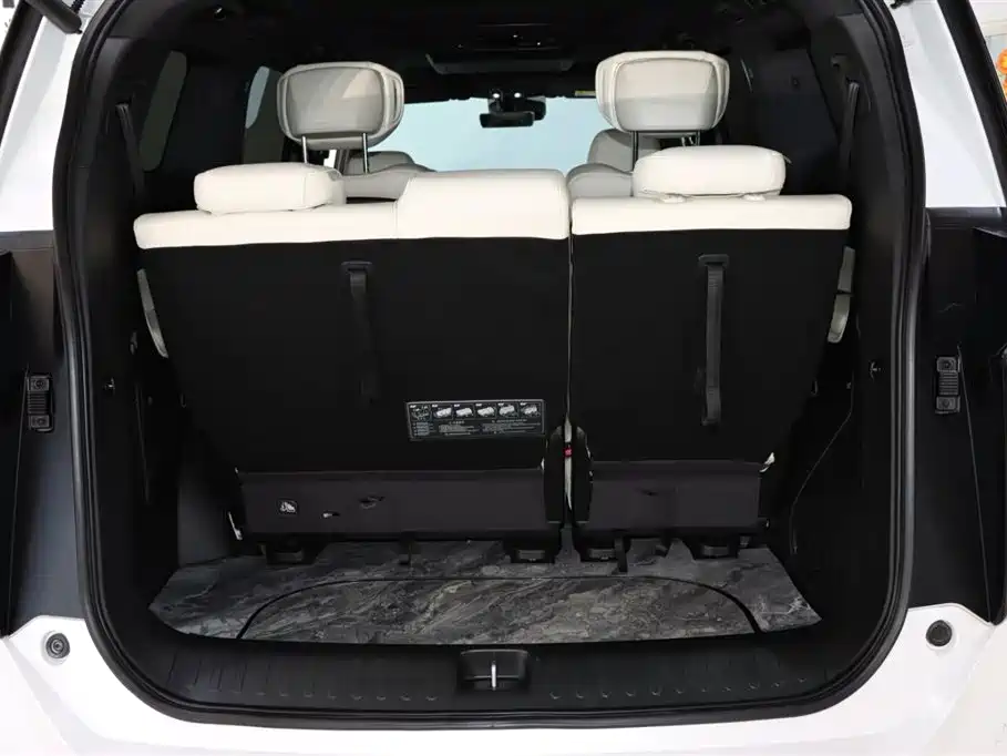 GAC Motor Trumpchi M8 2023 — фото 19