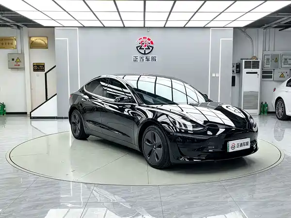 Tesla Model 3 2021