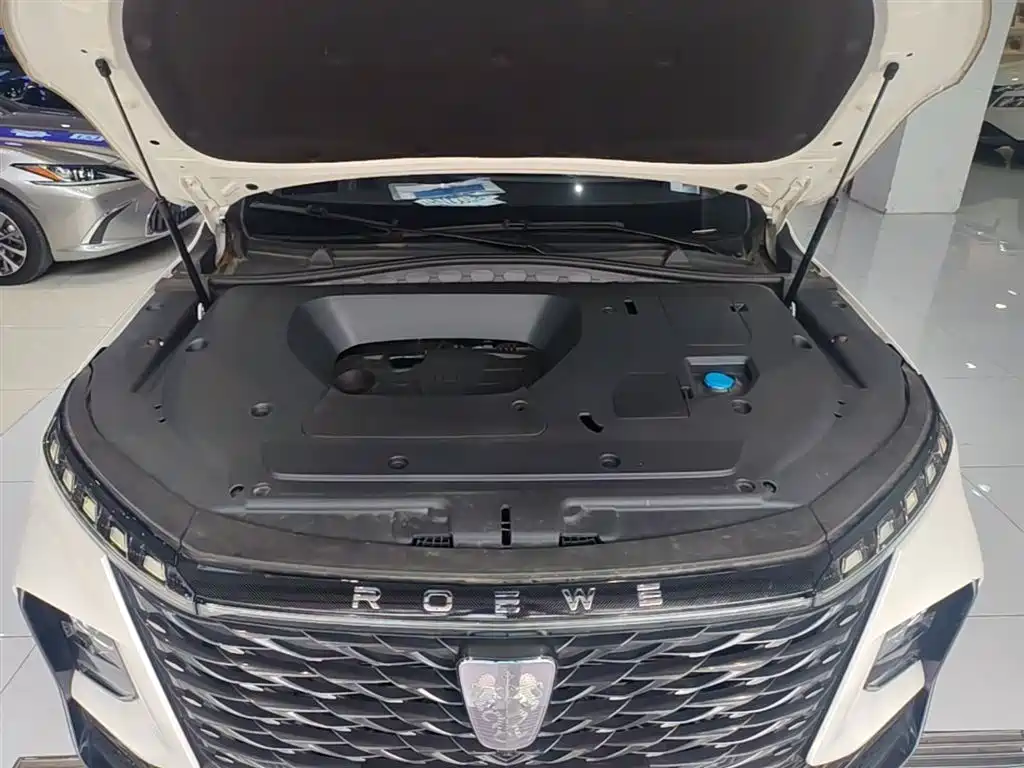Roewe RX5 MAX 2023 — фото 20