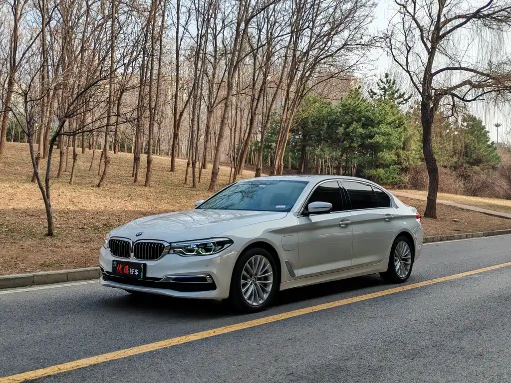 BMW 5 Series New Energy 2020