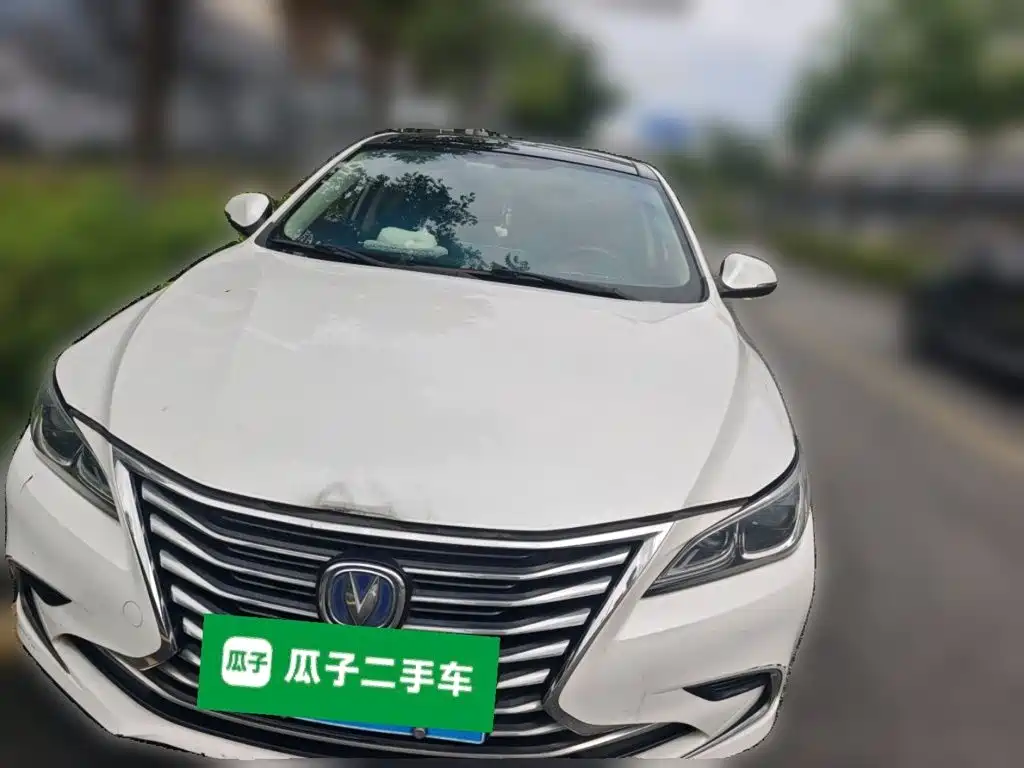 Changan Ruicheng CC 2019 — фото 24