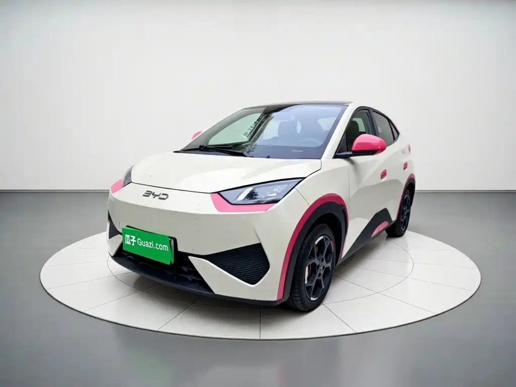 BYD Seagull 2025