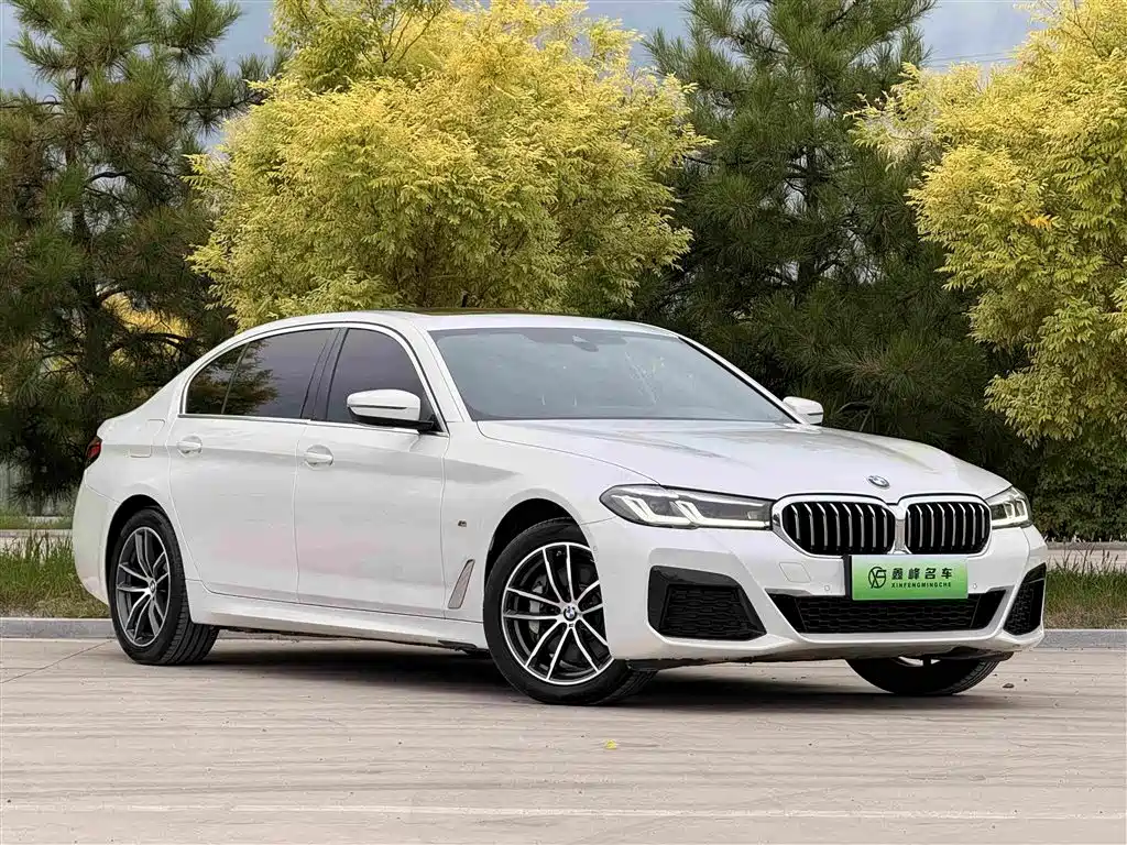 BMW 5 Series New Energy 2021