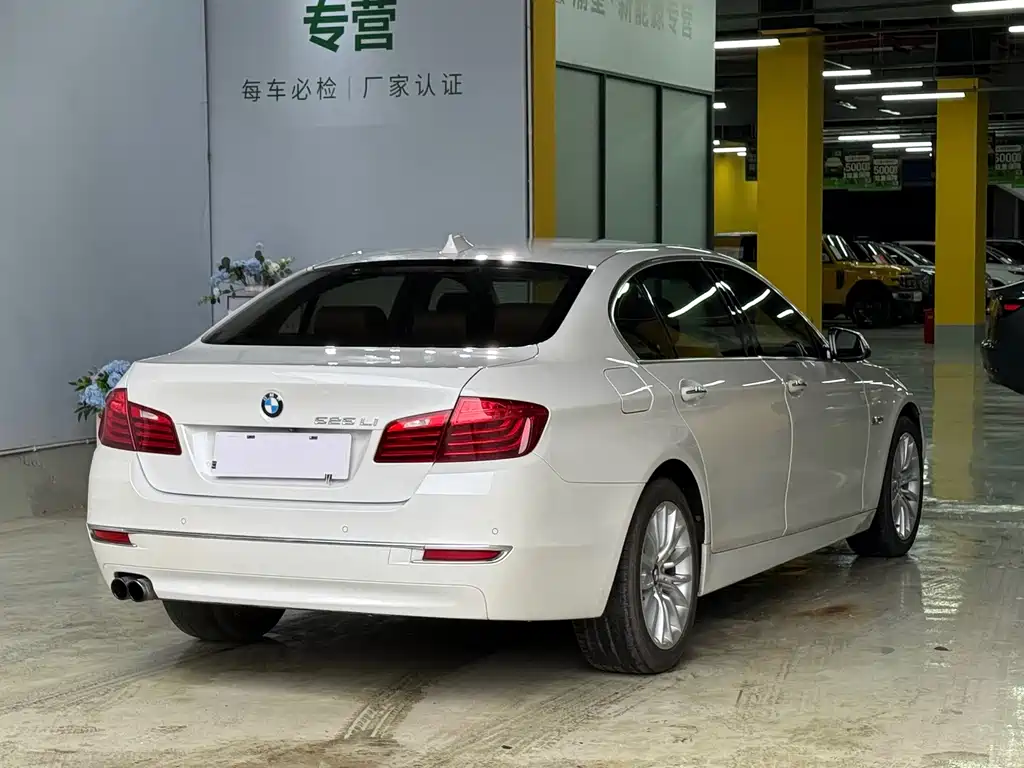 BMW 5 Series 2014