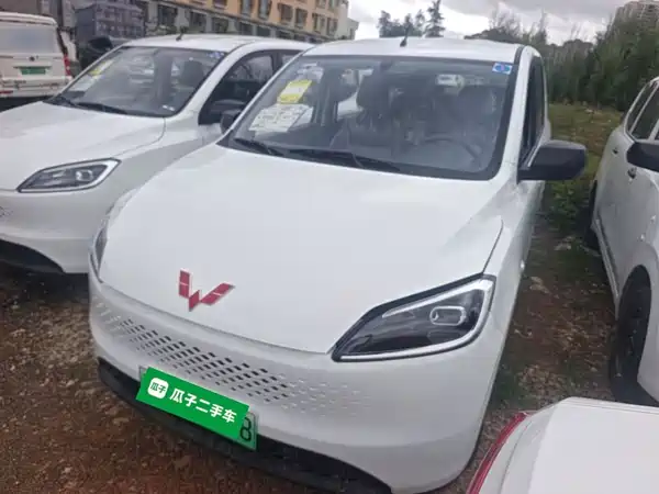 Wuling Hongguang New Energy 2026