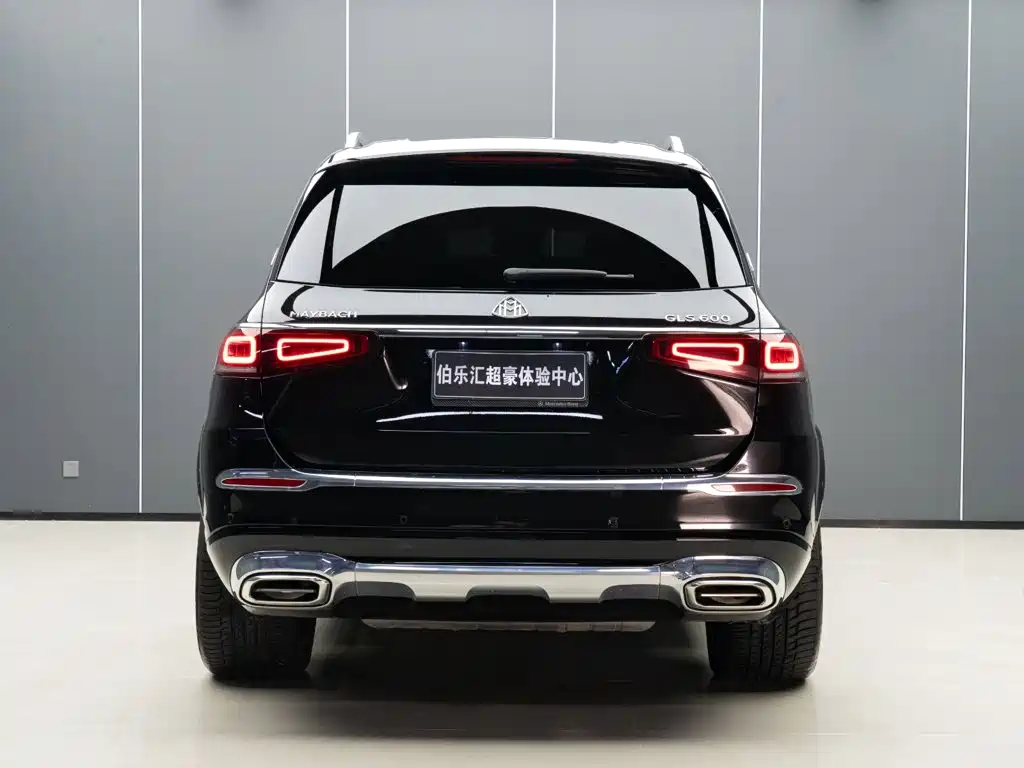 Mercedes-Benz Maybach GLS 2023 — фото 7