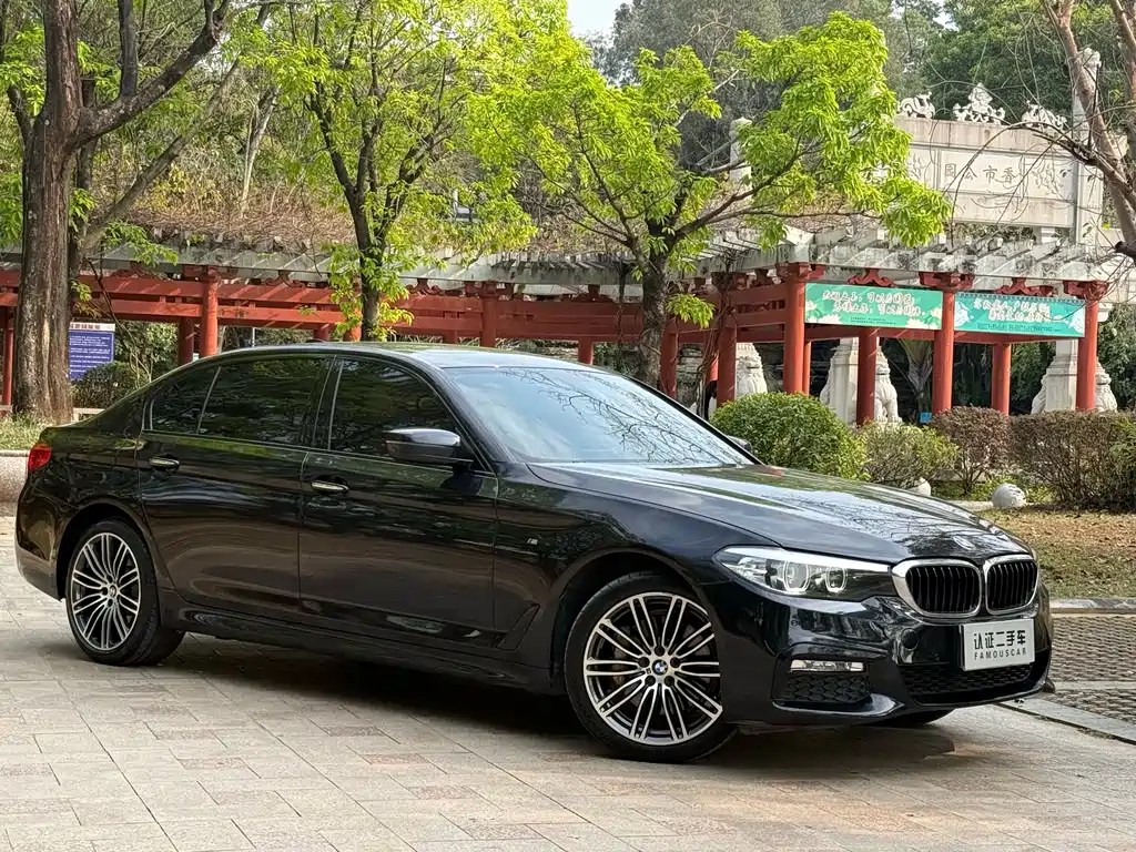 BMW 5 Series 2017 — фото 3