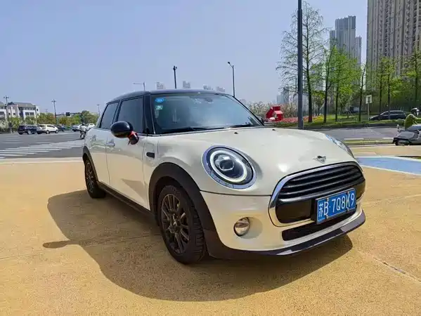 MINI 2019