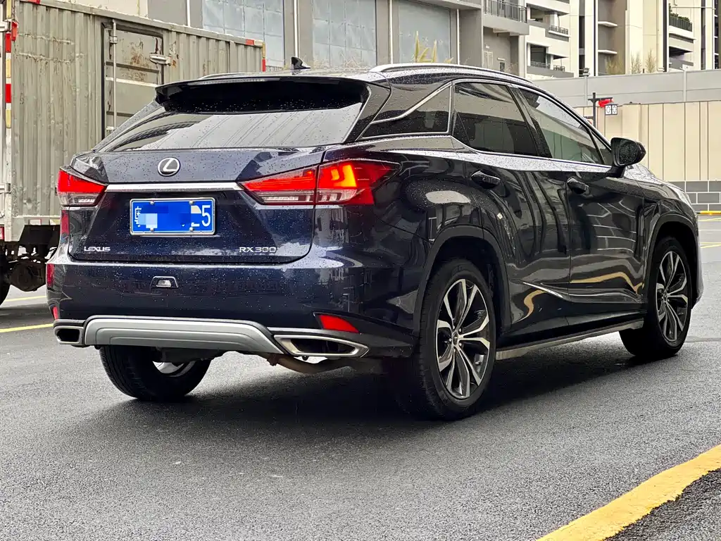 Lexus RX 2022 — фото 17