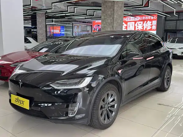 Tesla Model X 2020