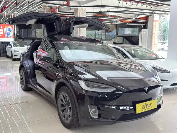 Tesla Model X 2020