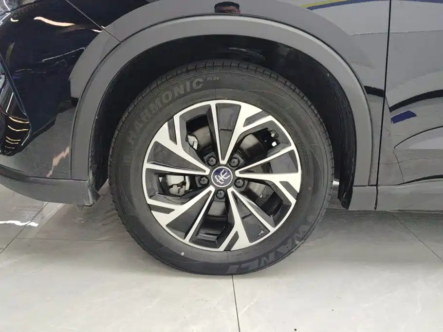 BYD Song Pro New Energy 2025 — фото 6