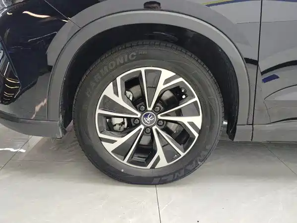 BYD Song Pro New Energy 2025