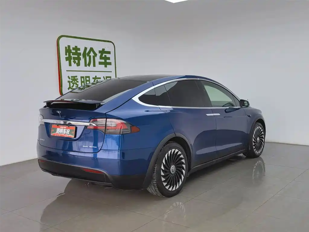 Tesla Model X 2020 — фото 2
