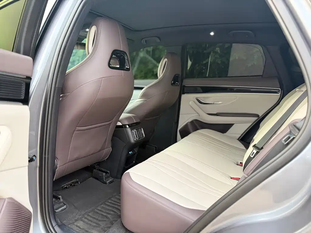BYD Song PLUS New Energy 2025 — фото 12