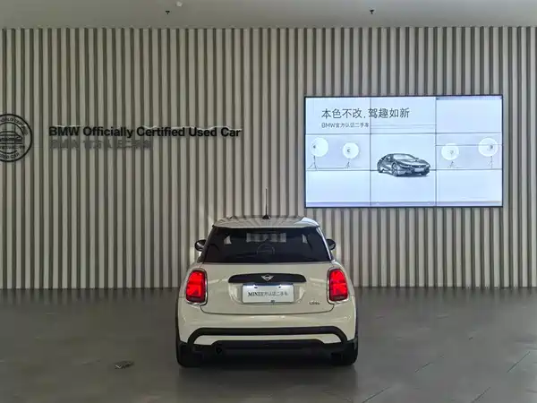 MINI MINI 2022