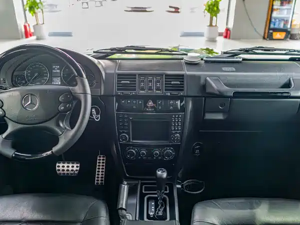 Mercedes-Benz G-Class 2010