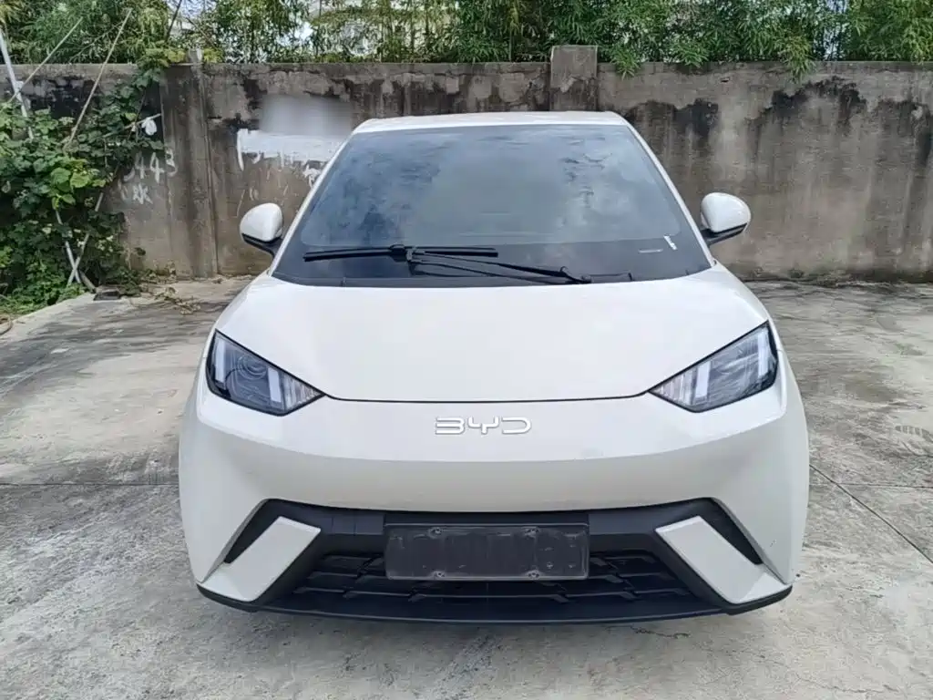 BYD Seagull 2024