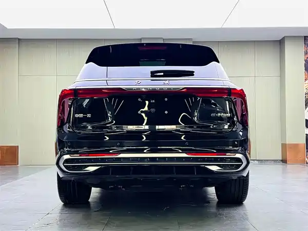 Hongqi E-HS9 2023