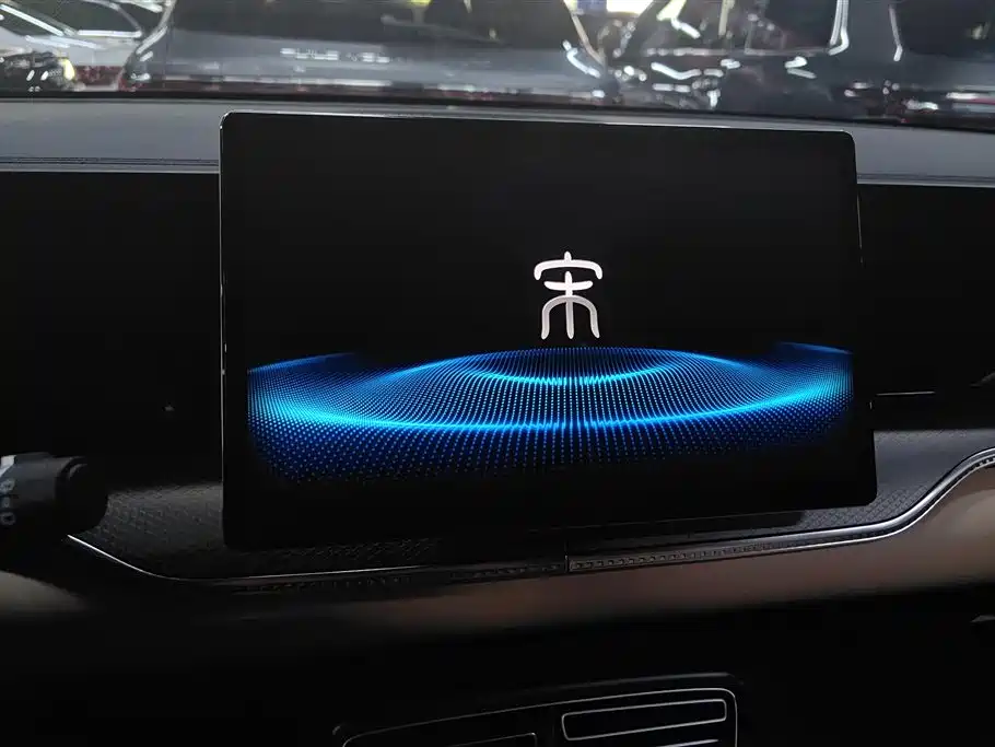 BYD Pro New Energy 2025 — фото 13