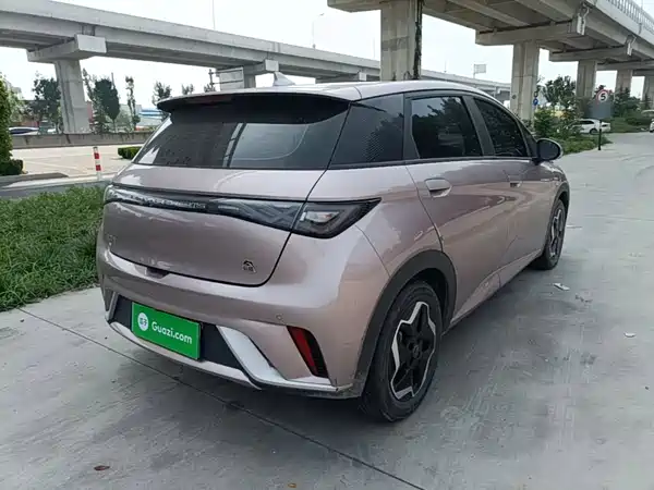 BYD Dolphin 2023