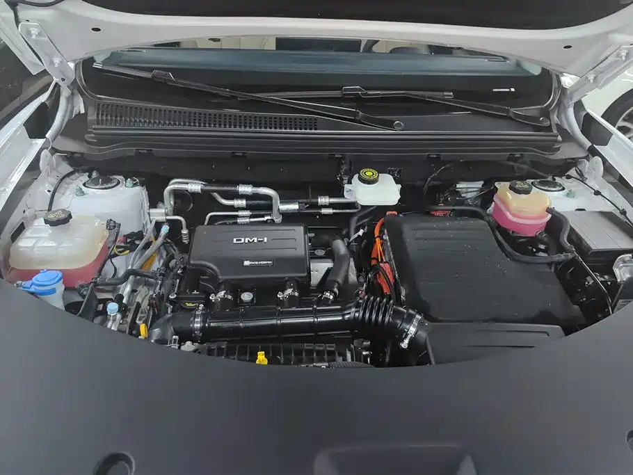 BYD Pro New Energy 2025 — фото 10