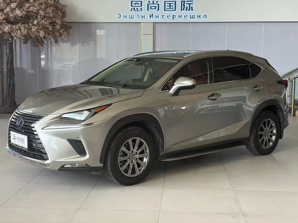 Lexus NX 2020 — фото 1