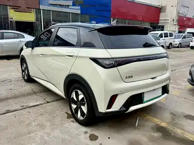 BYD Dolphin 2025