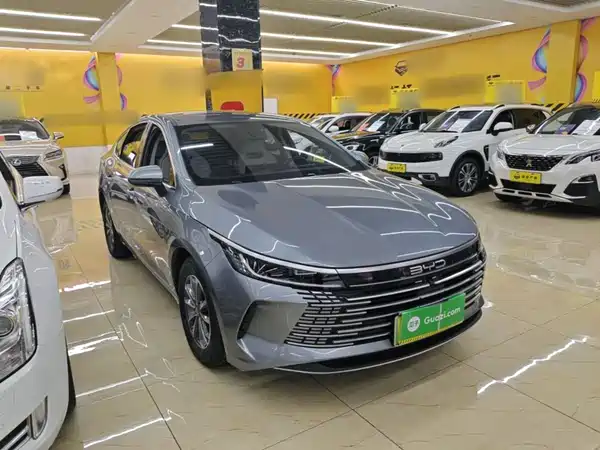 BYD Destroyer 05 2024
