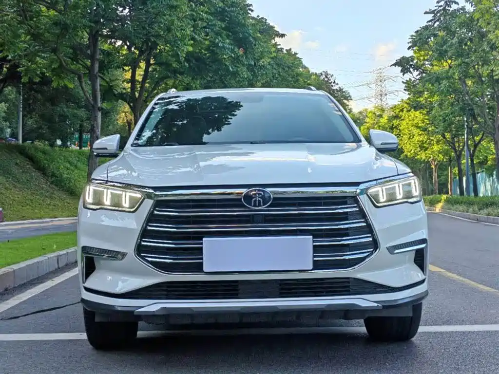 BYD Pro New Energy 2020 — фото 2
