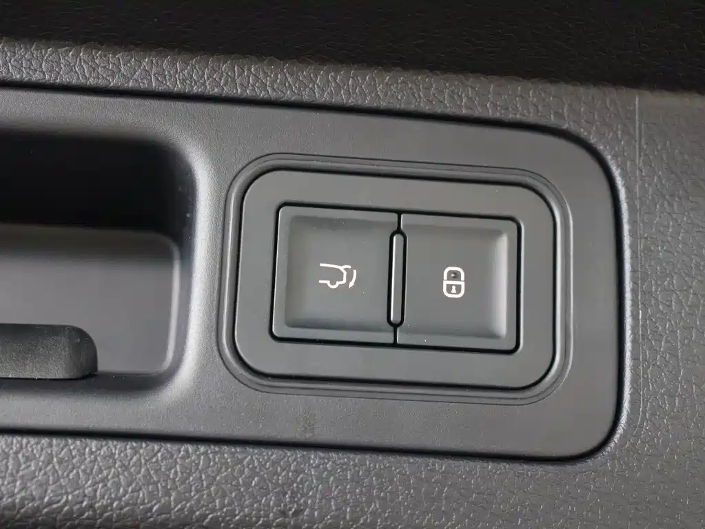 BYD Song PLUS New Energy 2025 — фото 16