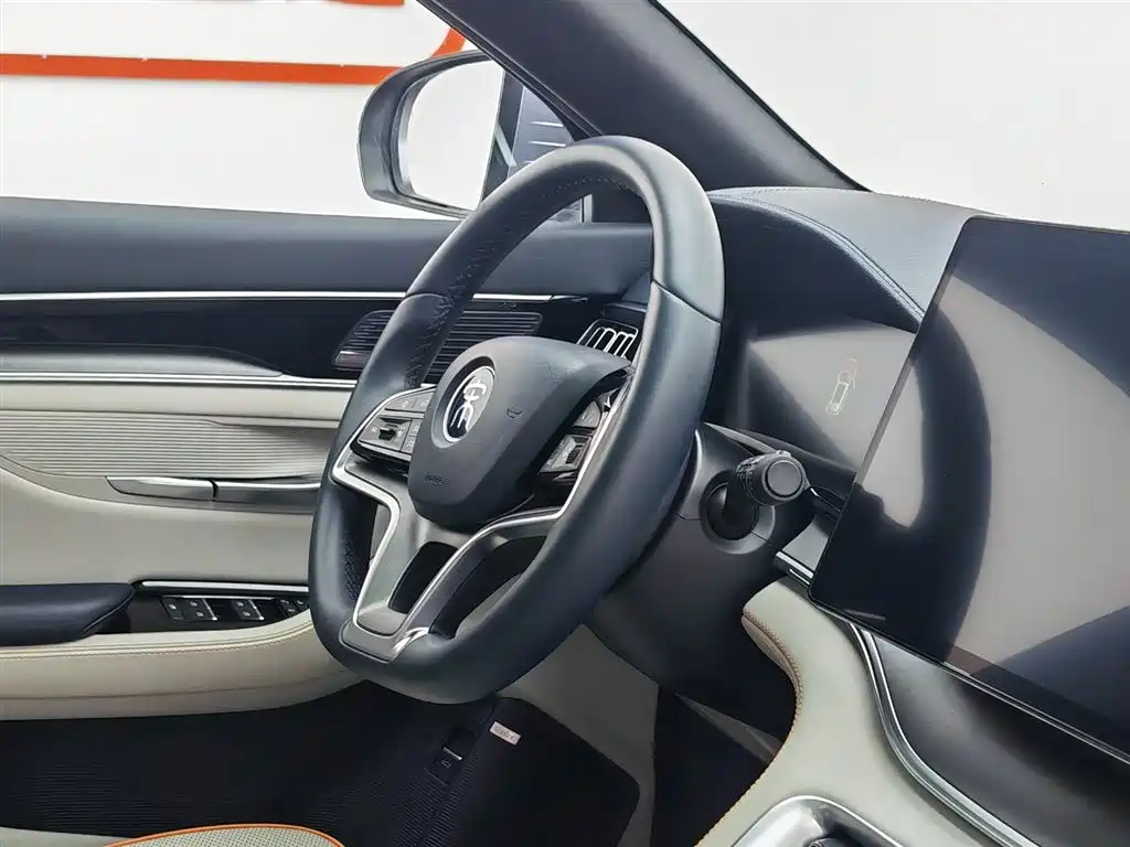 BYD PLUS New Energy 2023 — фото 22
