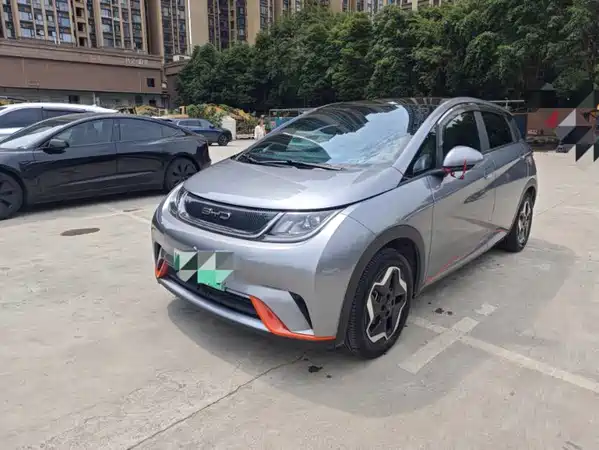 BYD Dolphin 2022