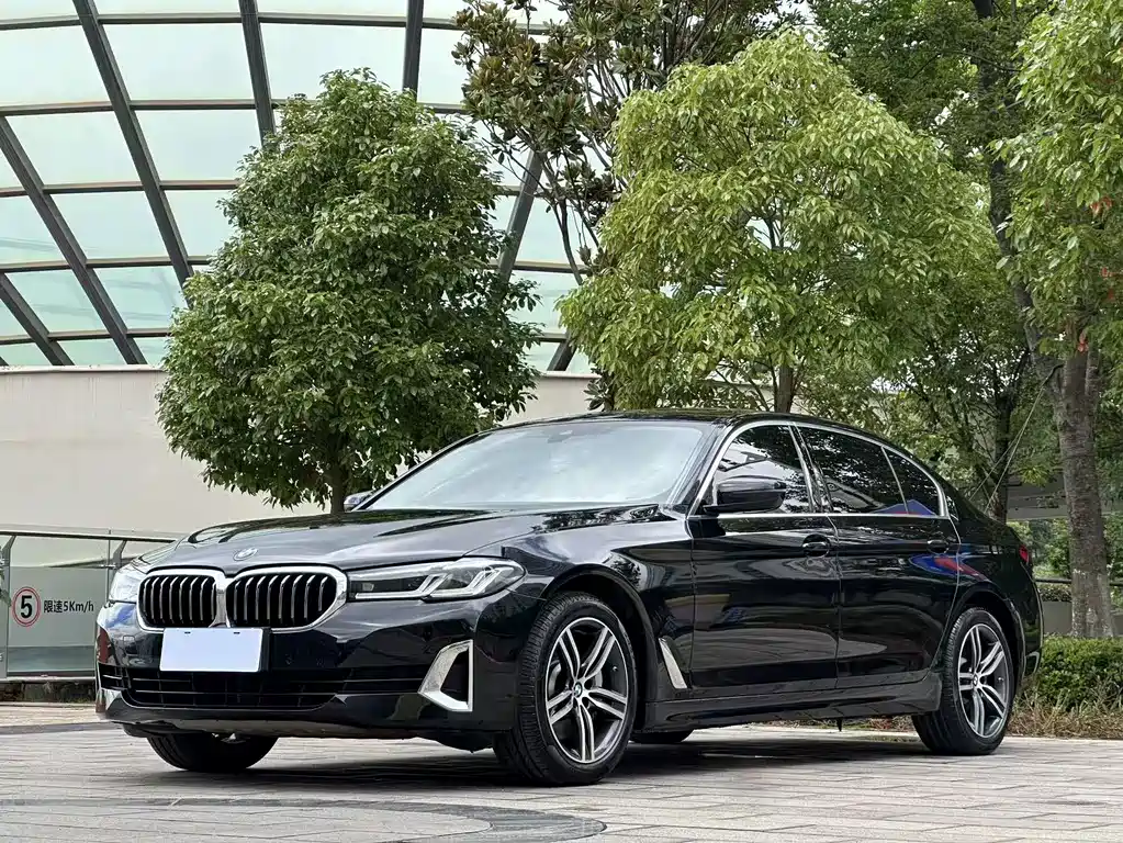 BMW 5 Series 2021