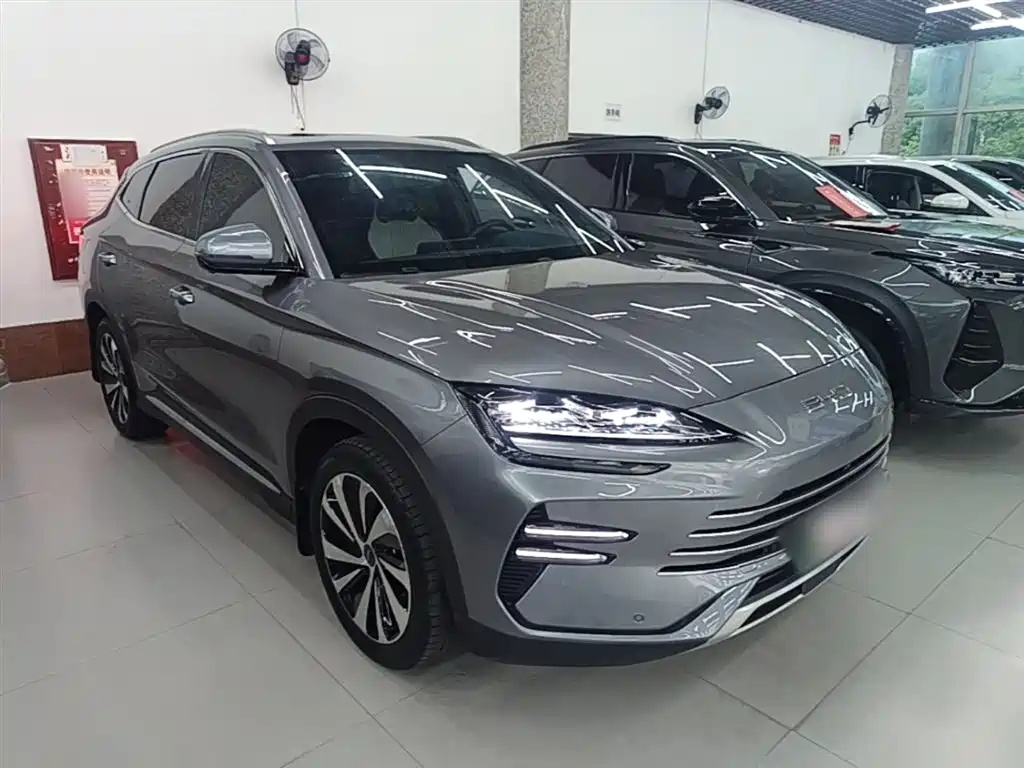 BYD PLUS New Energy 2024 — фото 4