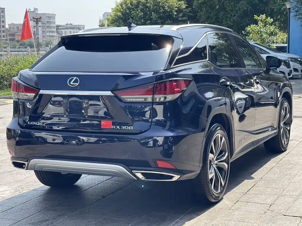 Lexus RX 2022 — фото 6