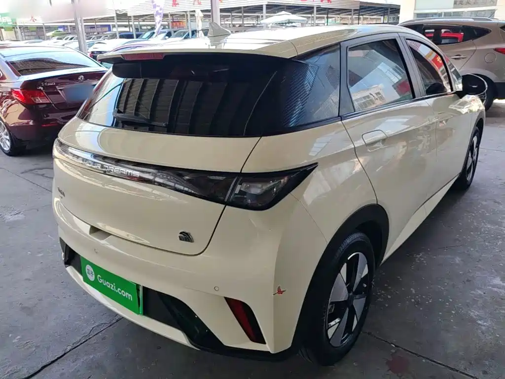 BYD Dolphin 2024
