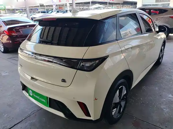 BYD Dolphin 2024