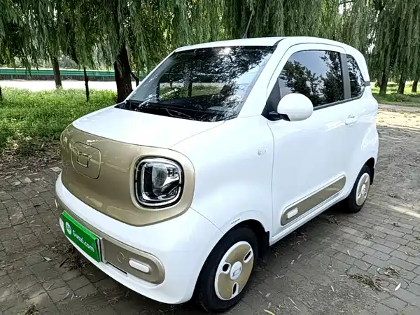 Bestune Pony 2024