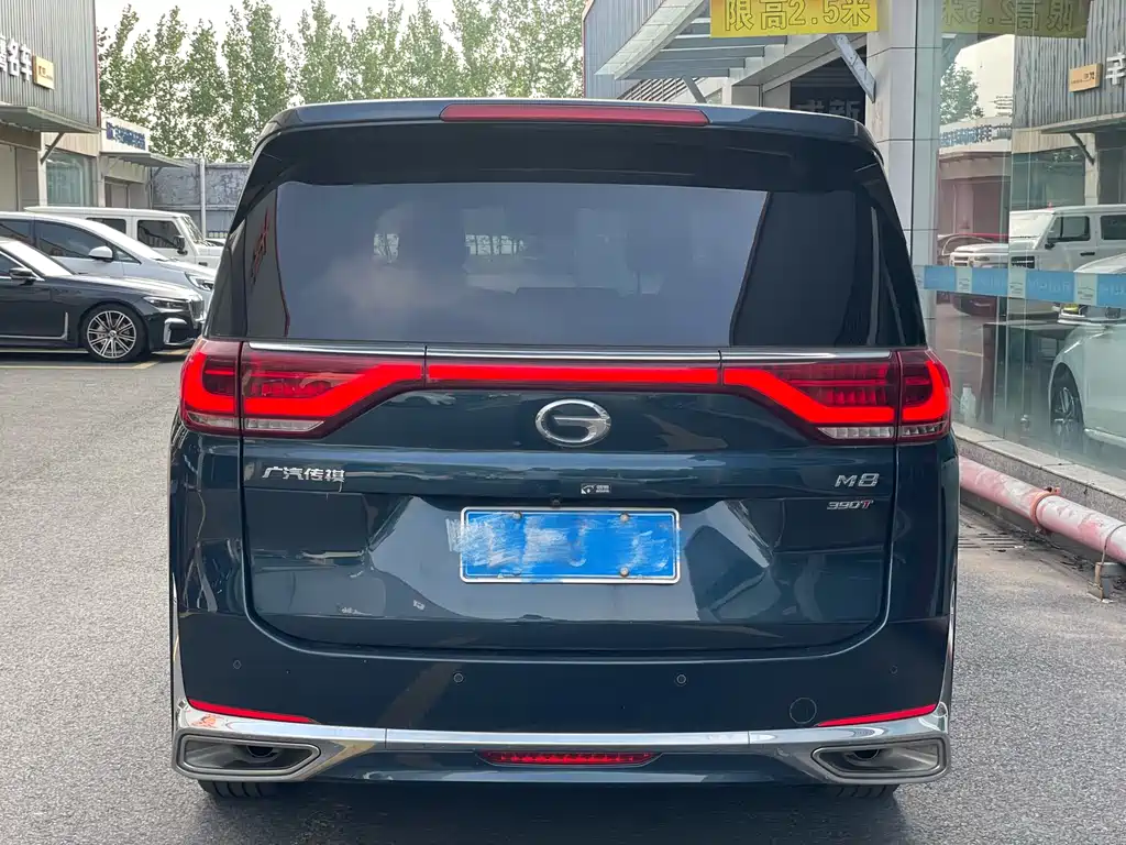 GAC Motor Trumpchi M8 2023 — фото 4