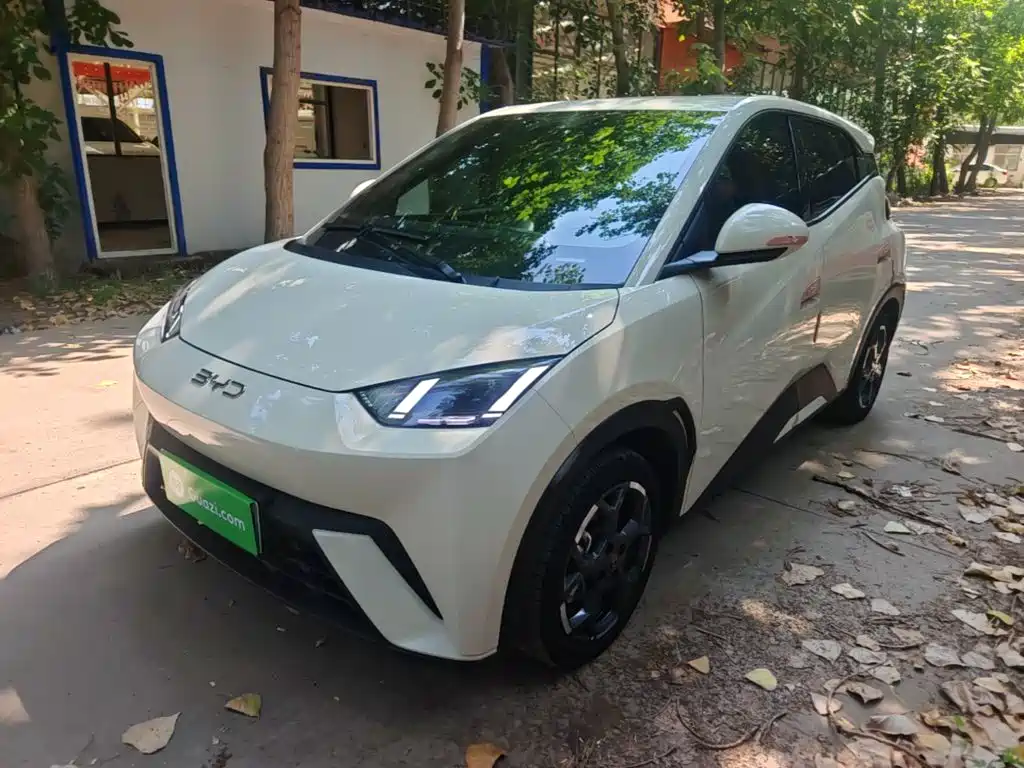 BYD Seagull 2024