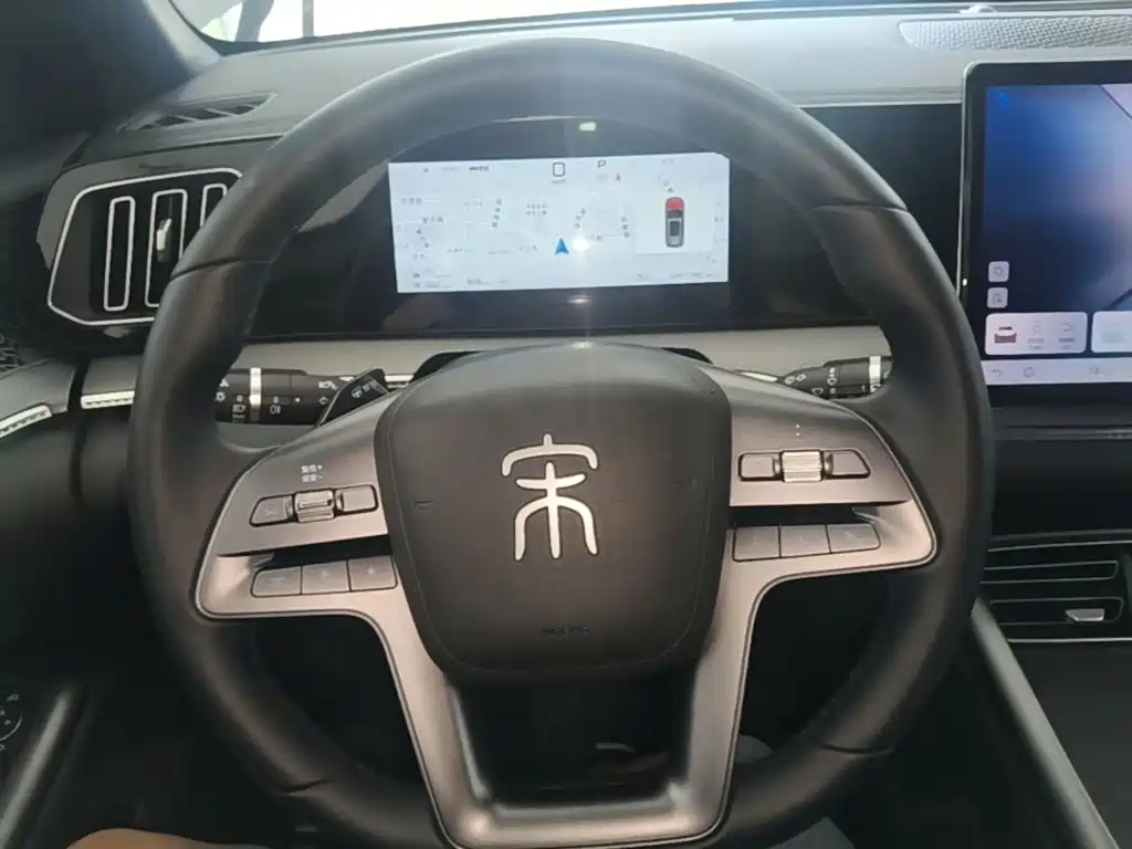 BYD Song Pro New Energy 2025 — фото 11