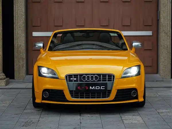 Audi TTS 2009