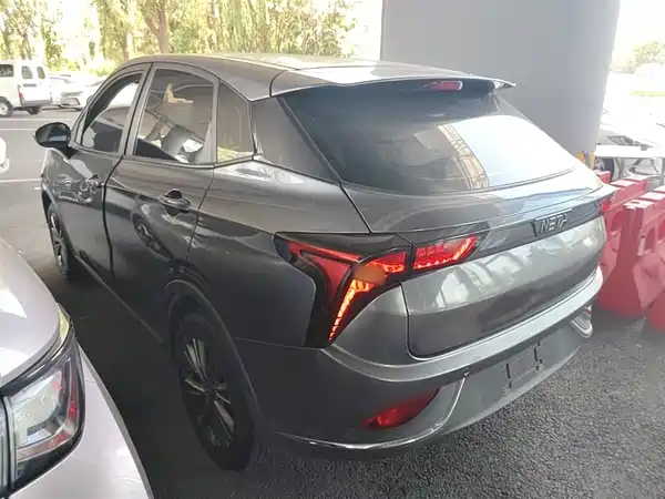 Neta V 2022