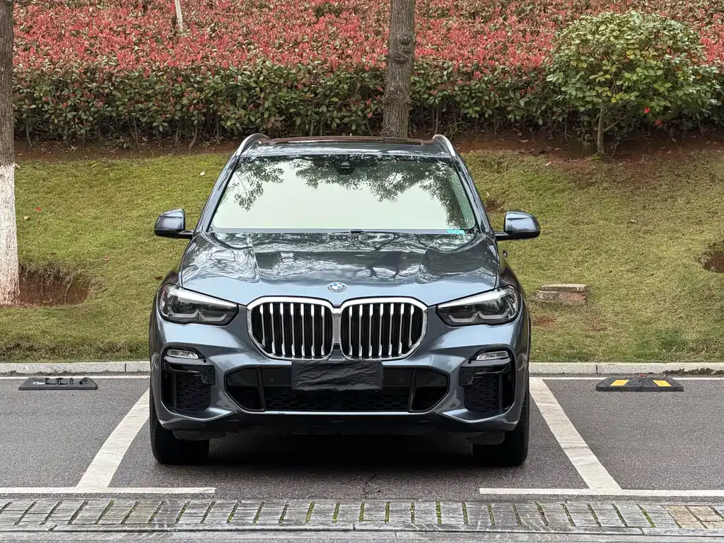 BMW X5 2020 — фото 2