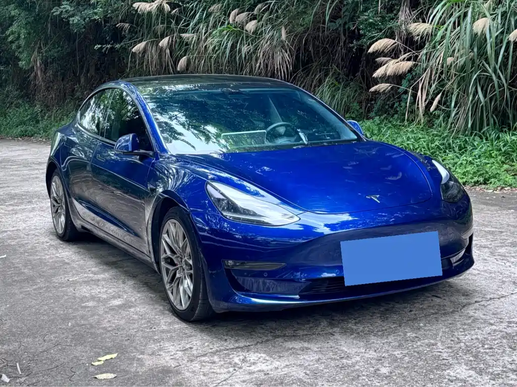 Tesla Model 3 2021